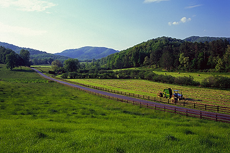 Greenholler Farm, Covesville, VA